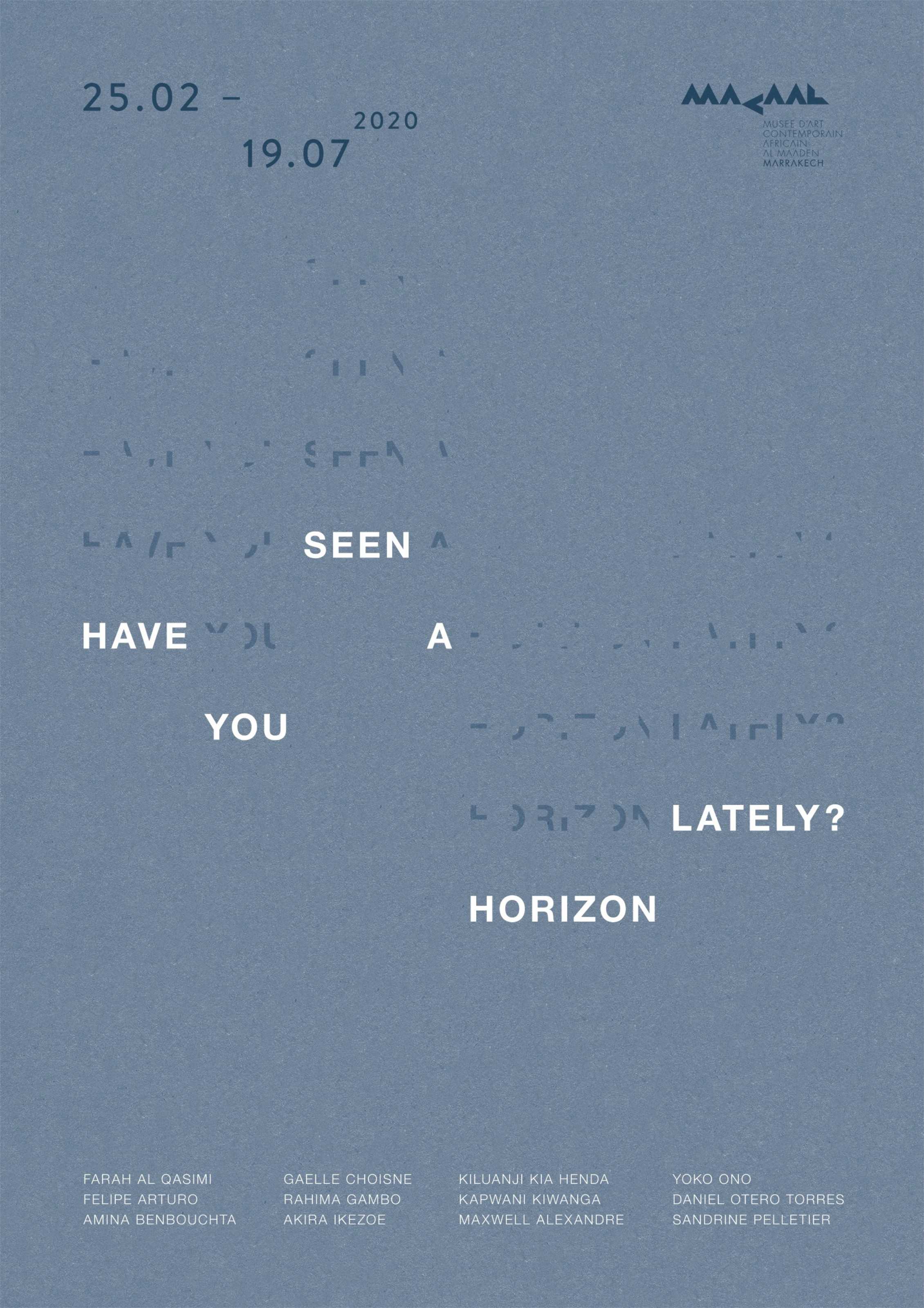 HAVE YOU SEEN A HORIZON LATELY?